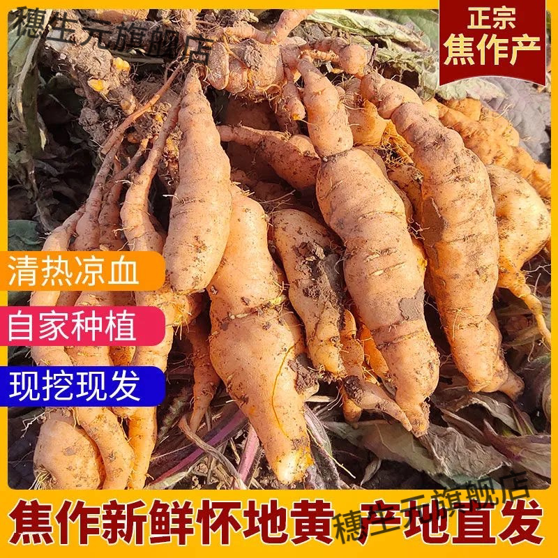 焦作怀鲜地生黄500克正宗