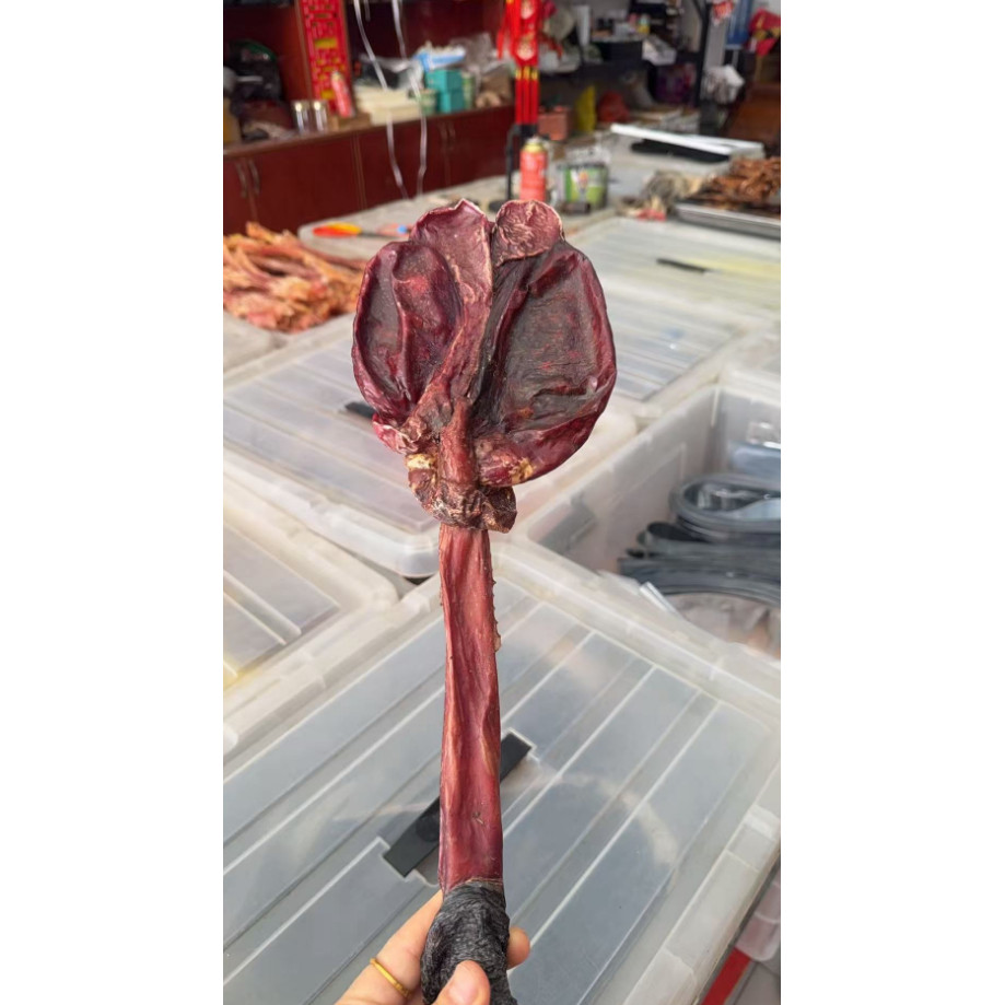 新疆纯干整只驴鞭带睾丸泡酒料