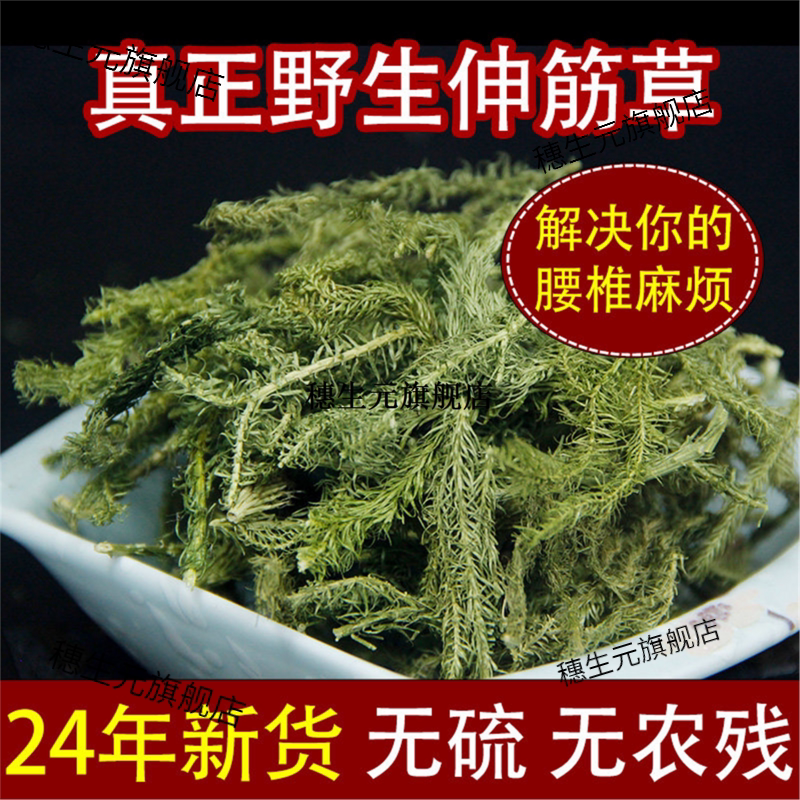 正宗云南野生伸筋草500g材