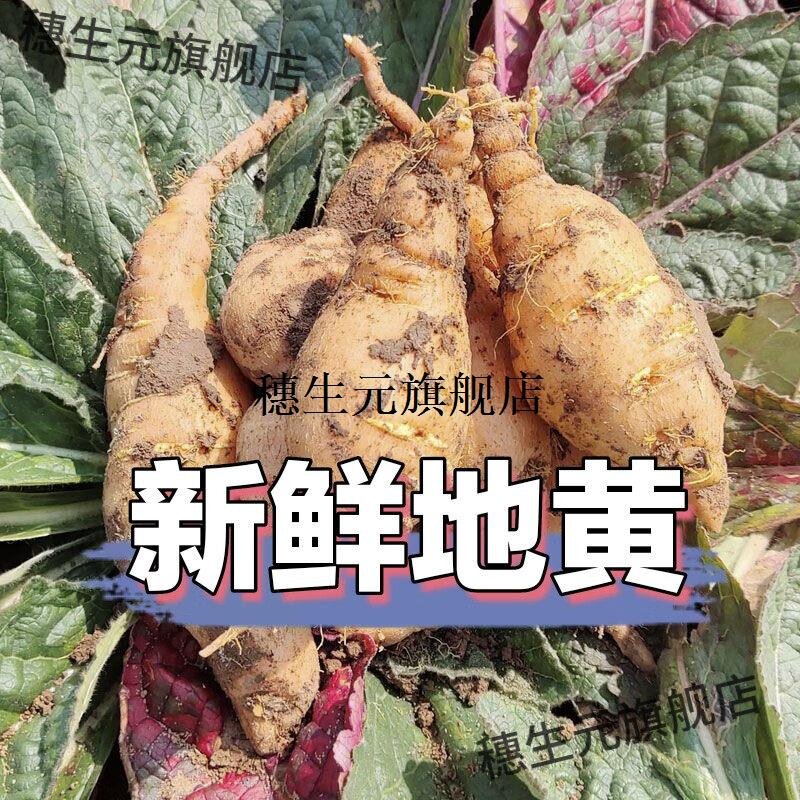 焦作新鲜怀地黄四大药生清
