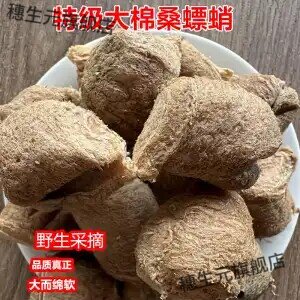 桑螵蛸材野生男士滋补肉苁