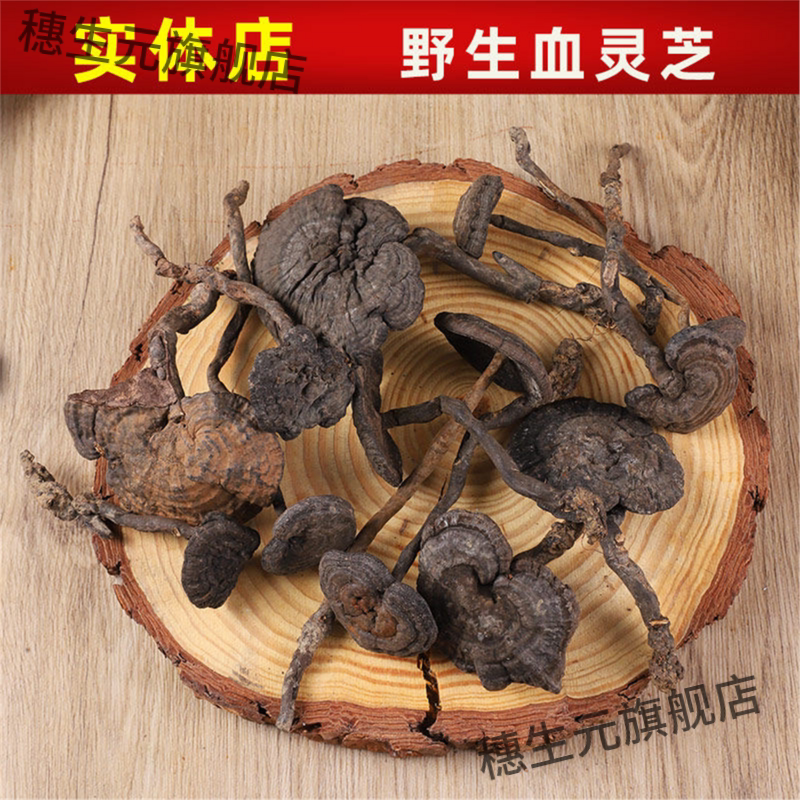 野生香血灵芝泡酒云南深山
