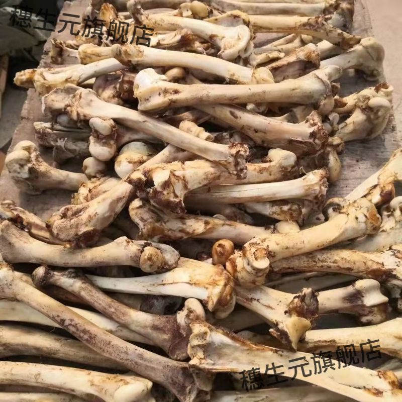 正宗梅花鹿骨泡酒煲汤