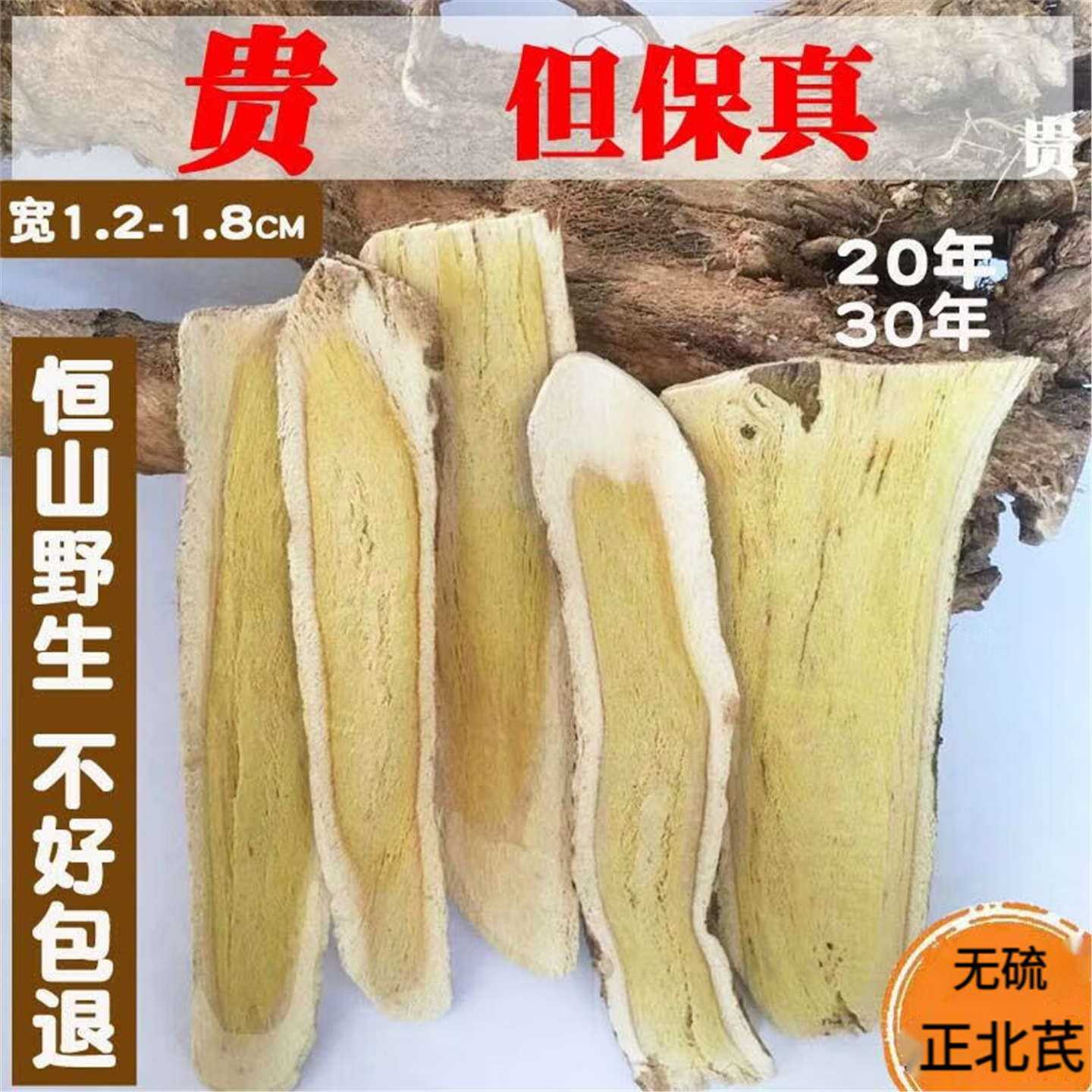 山西恒浑源正北芪野生黄出