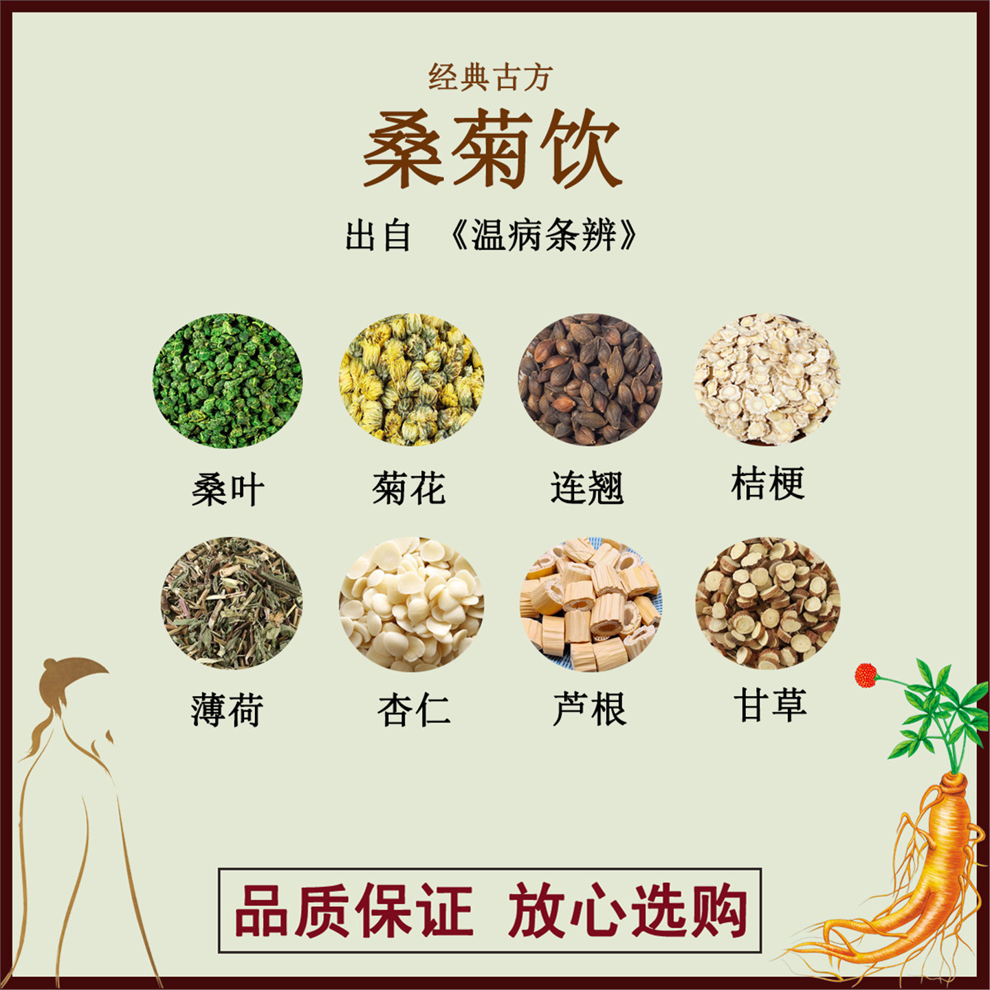 桑菊饮桑叶菊花连翘桔梗薄荷杏仁芦根甘草材古方汤剂
