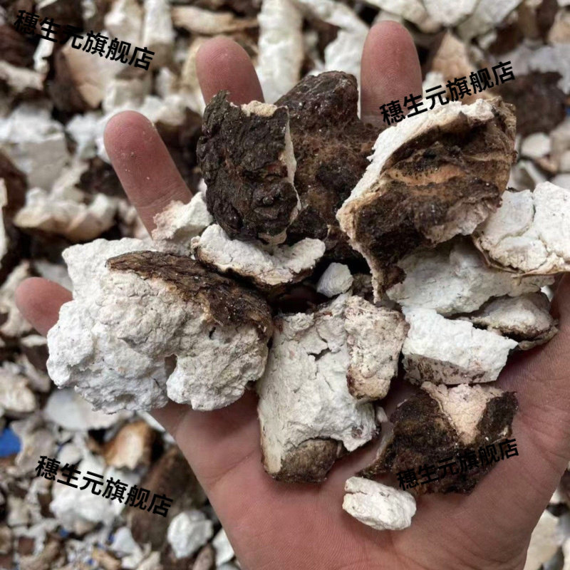 贵州深山野生无硫纯天然茯苓块