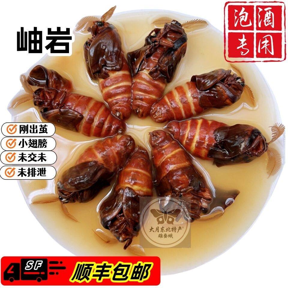 野生雄蚕蛾公蛾泡酒料正宗岫岩