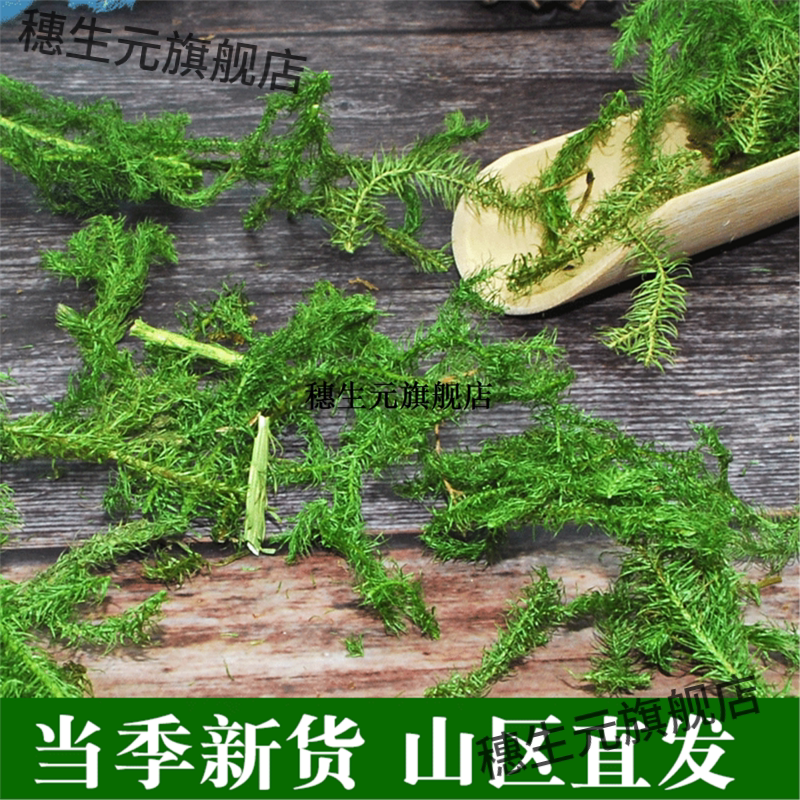 贵州野生新货伸筋草材500g