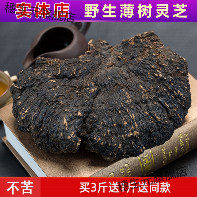 纯野生灵芝薄盖云南深山