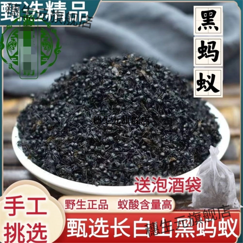 黑蚂蚁长白山野生黑蚂蚁干滋补养生 大黑蚂蚁粉 拟黑多刺蚁泡酒料