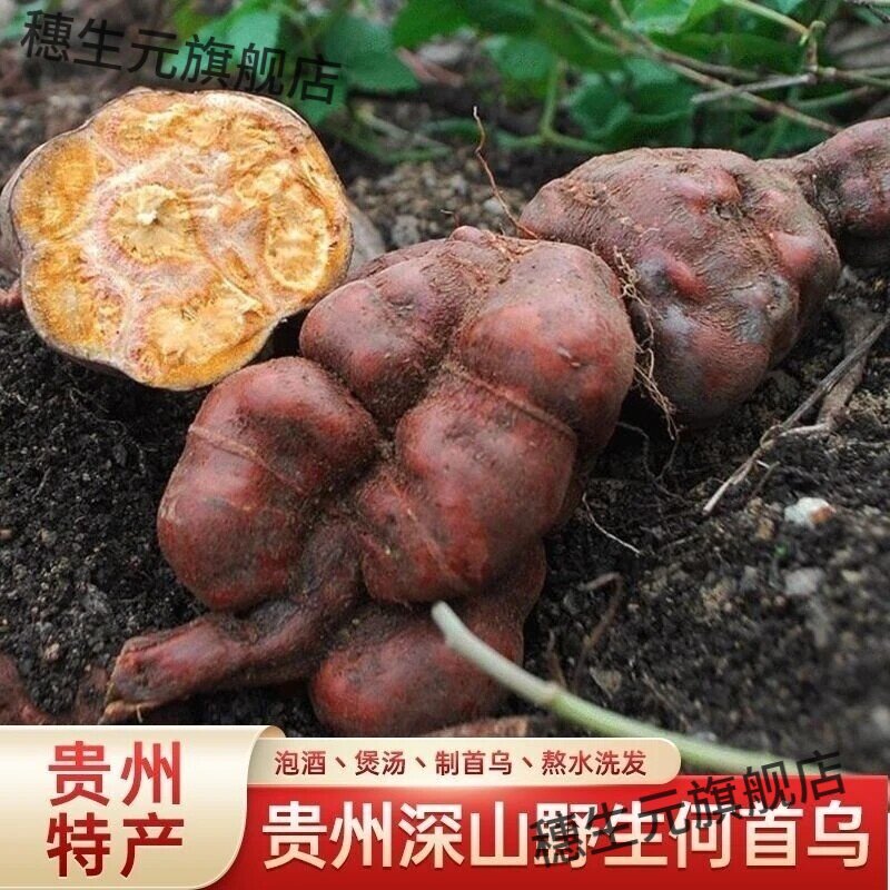 贵州野生黑何首乌食用农产