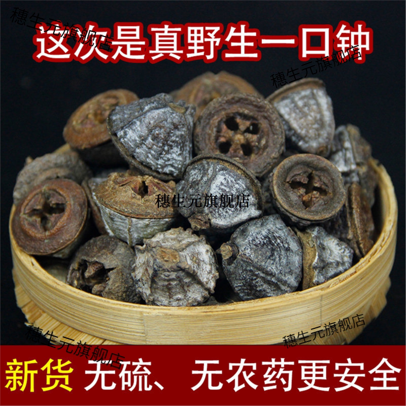 正宗云南野生一口钟材老树