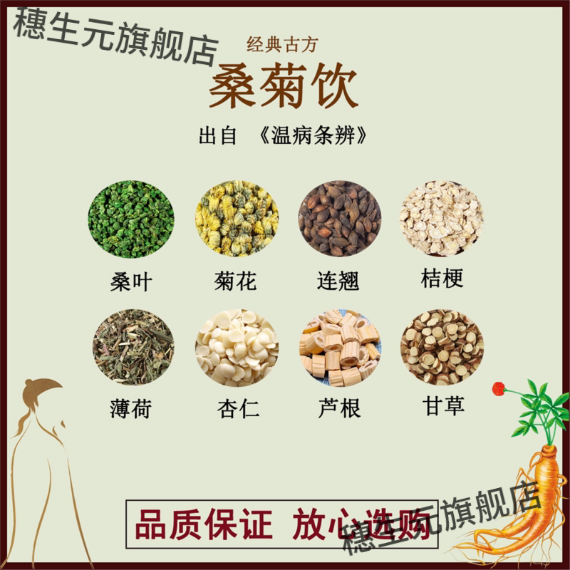 桑菊饮桑叶菊花连翘桔梗薄荷杏仁芦根甘草材古方汤剂