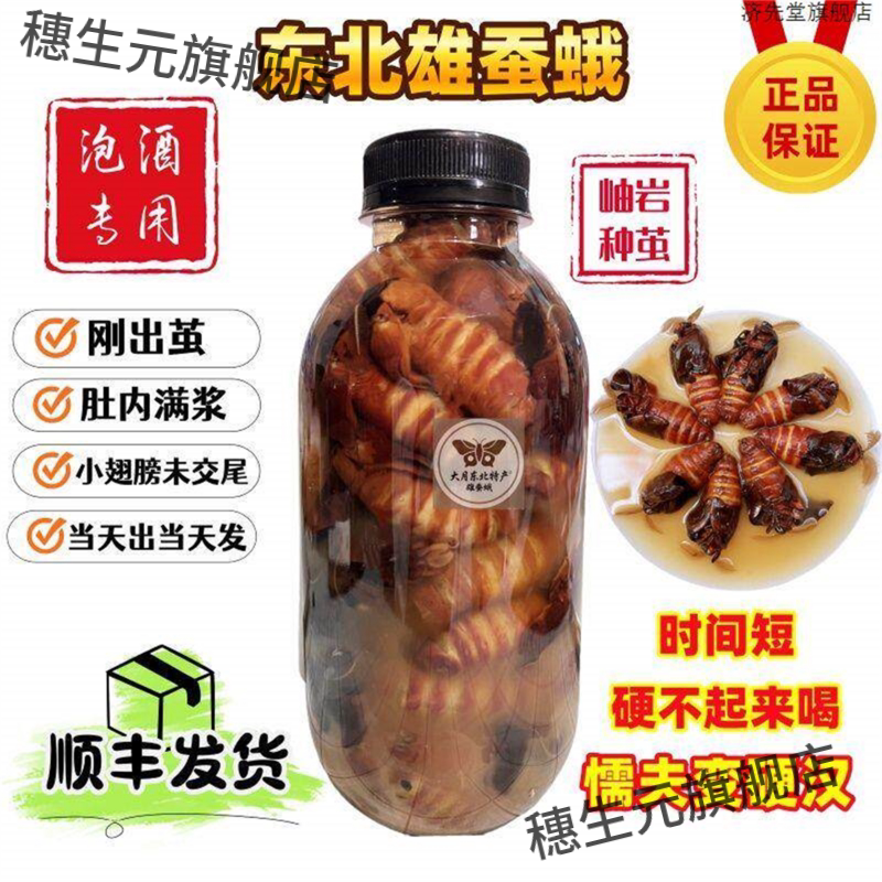 雄蚕蛾公泡酒料养生男性