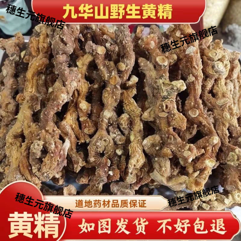 黄精九华山野生特级鸡头男