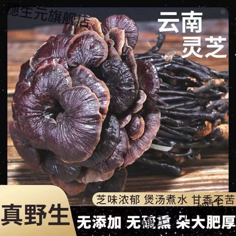 云南深山野生特级竹灵芝干货