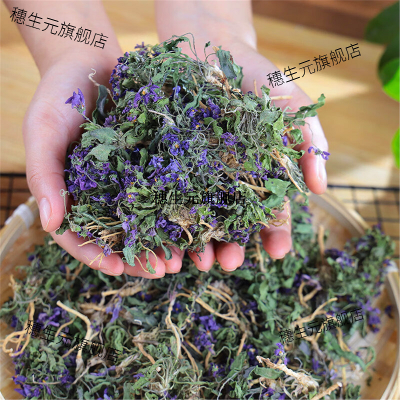 野生紫花地丁500g泡茶泡水