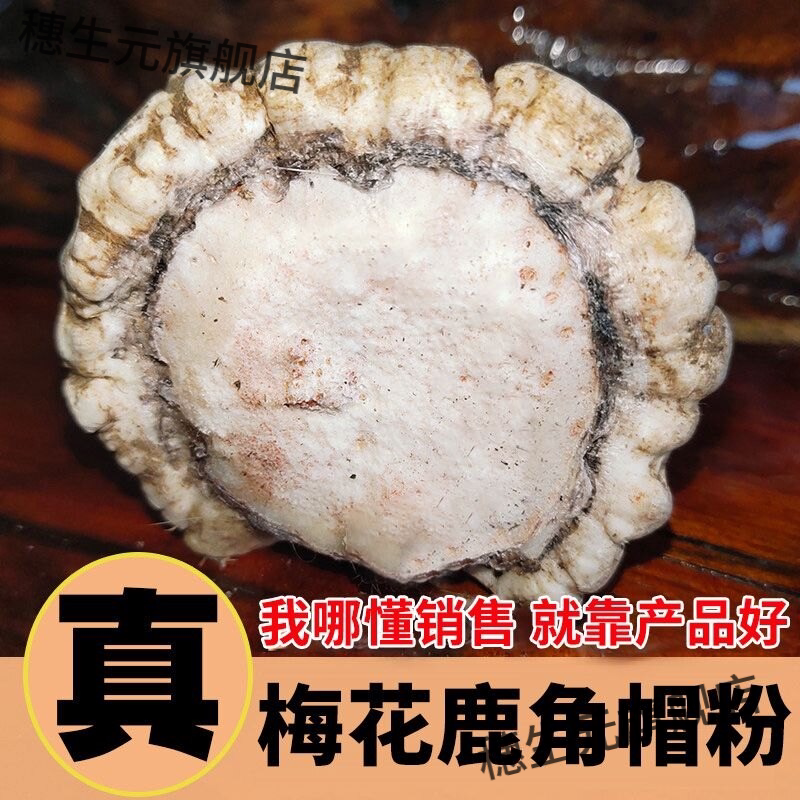 双阳梅花鹿帽粉鹿角脱盘