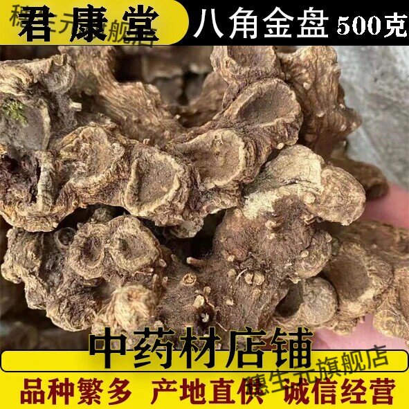 野生八角金盘手选新货中药材