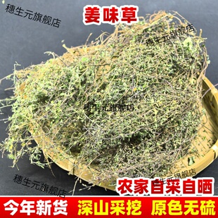 云南野生材姜味草 柏枝草 小姜草 小香草 小香薷500克