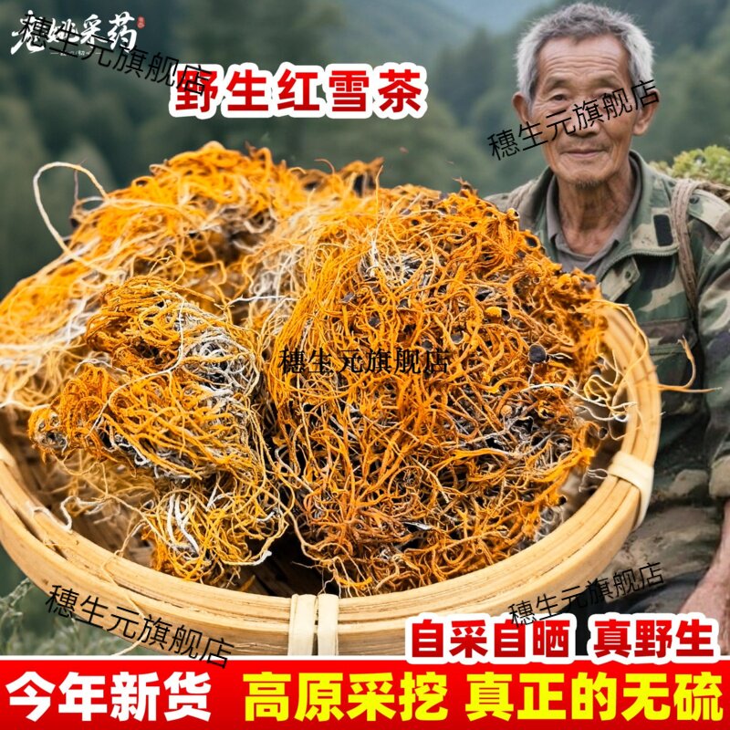 金丝红雪茶高原西域藏长