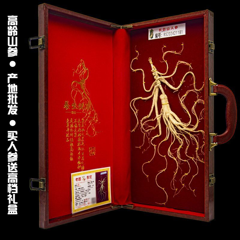 长白山千年礼盒野山参泡酒煲汤