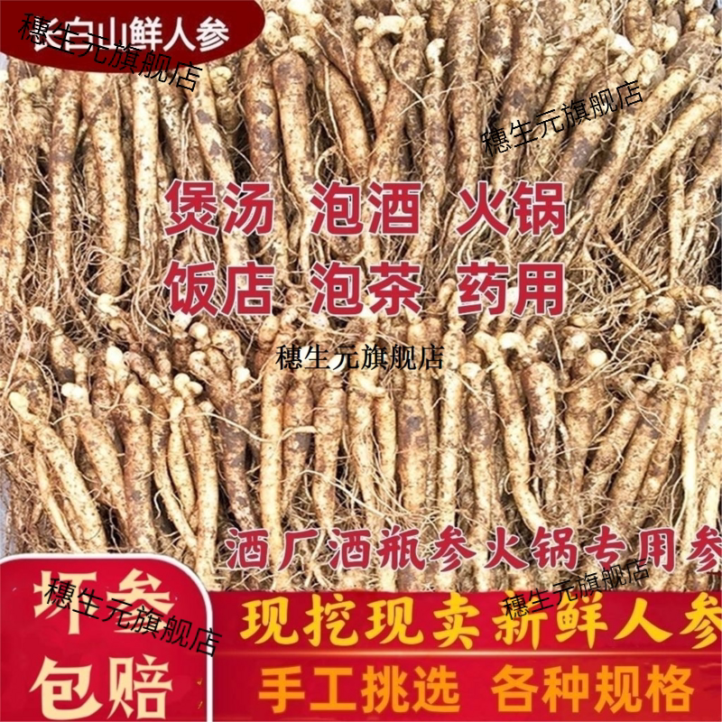 长白山鲜人参带土煲汤泡酒