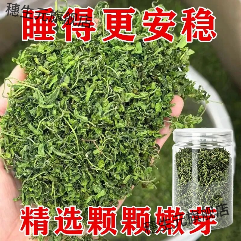 山东大山野酸枣芽茶手工新货瓶装