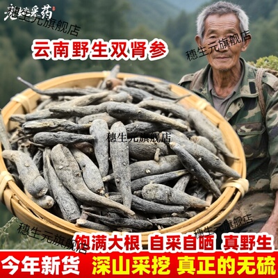 云南野生双肾参紫精子母