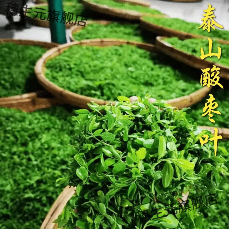 山东泰安特产酸枣叶茶2026新茶