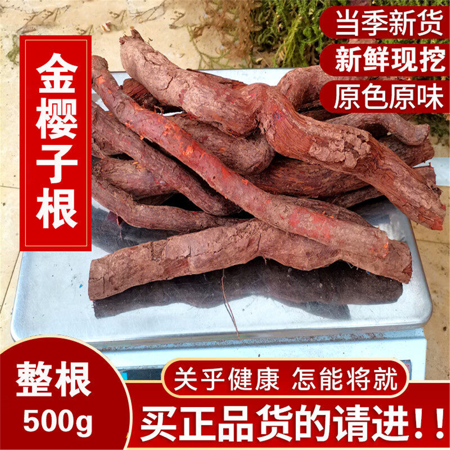 金樱子根野生新鲜糖罐品