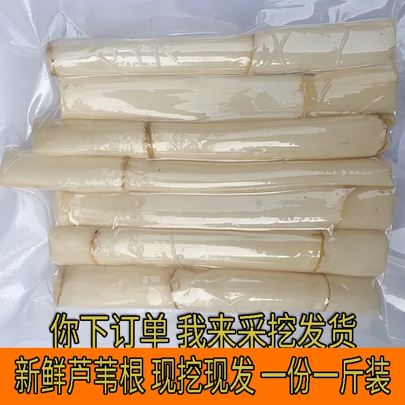正宗野生新鲜芦根苇茅头柴