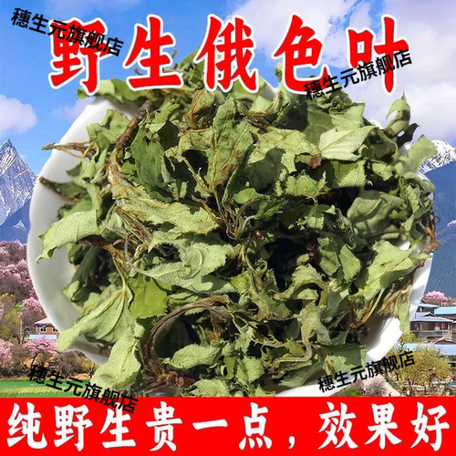 正宗俄色叶藏区新货变叶海棠