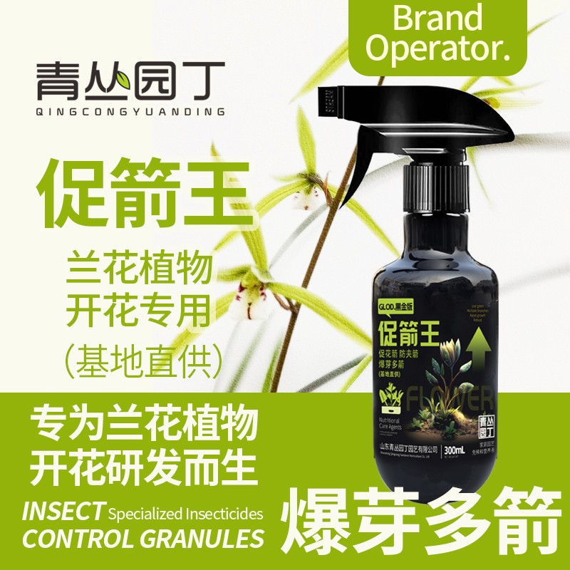 青丛园丁促箭王基地兰花开花专用蝴蝶兰促花箭防夹箭爆芽多箭图片