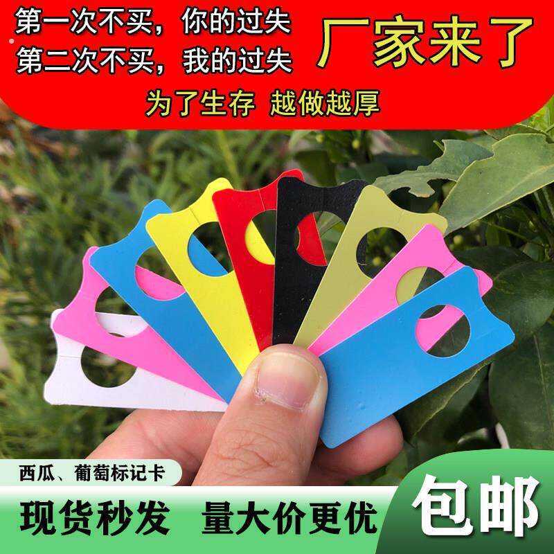 加厚植物标签葡萄记号牌西瓜授粉瓜果日期标记卡农业园艺塑料挂牌