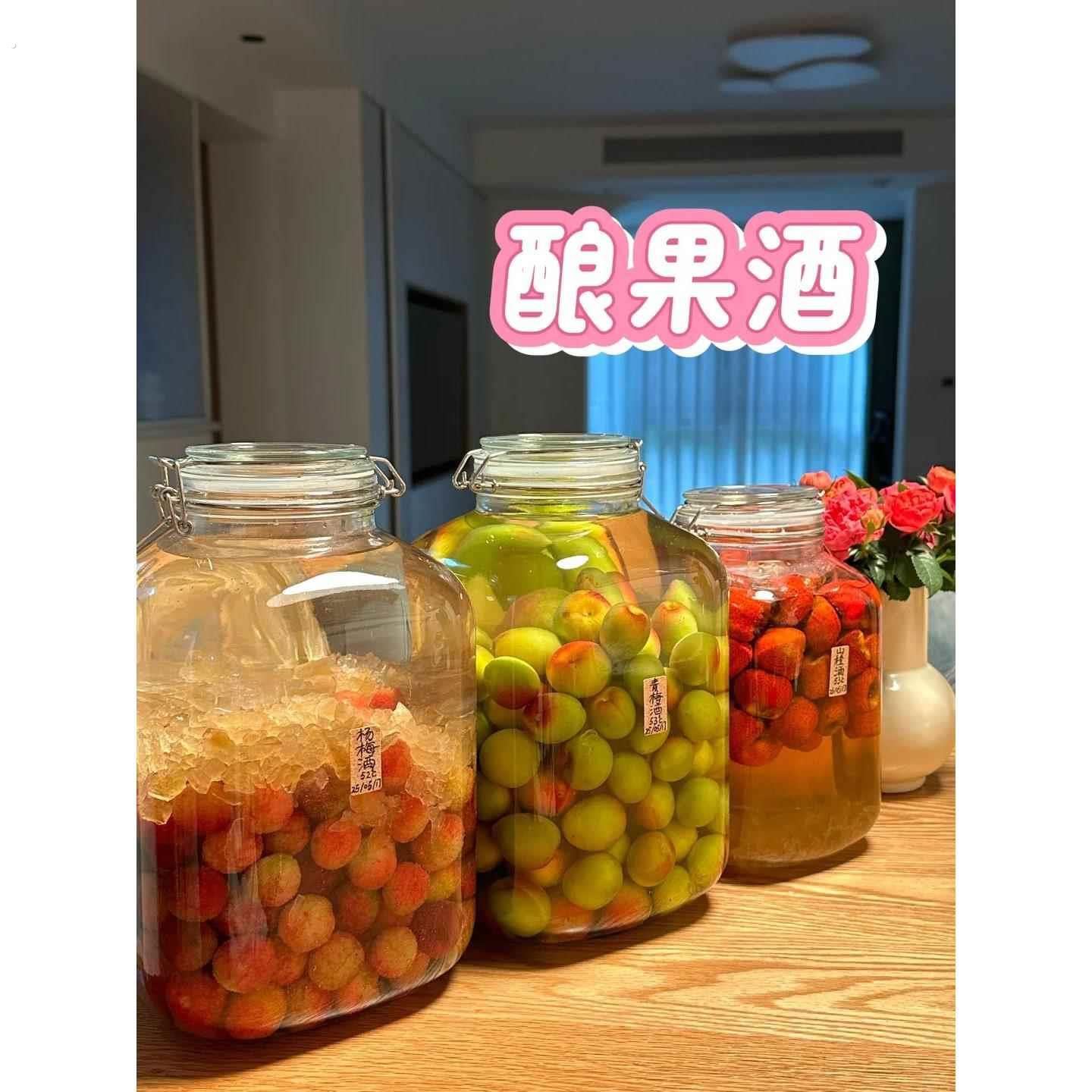 泡酒玻璃瓶葡萄酒瓶空瓶自酿果酒专用发酵桶大容量密封罐酒罐容器