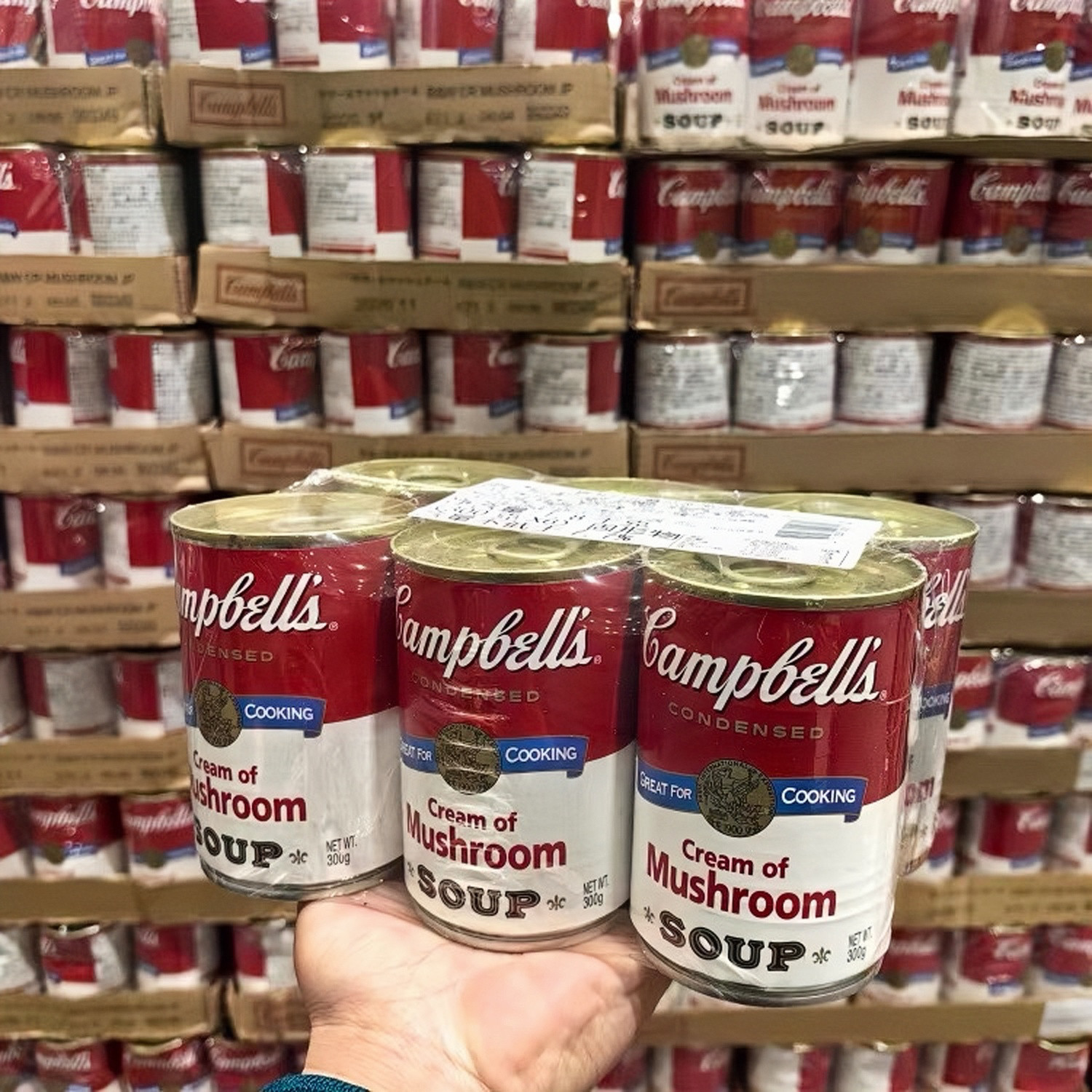 Costco代购澳洲进口CAMPBELL'S金宝奶油蘑菇汤罐头西式浓汤300g罐