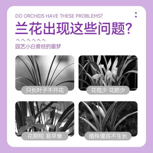 【兰科植物专用】兰花专用营养液延花期促开花防黄叶通用型单质氮