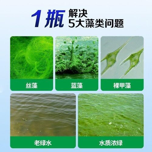 除藻粉除藻剂锦鲤鱼池除青苔藻类净化农用物资水溶肥
