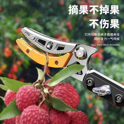 欧帝斯伸缩高空摘果剪花椒龙岩水果树枝剪伸缩高空剪摘果神器荔枝