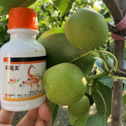 叶面肥  上格表现美一瓶100克打2亩地