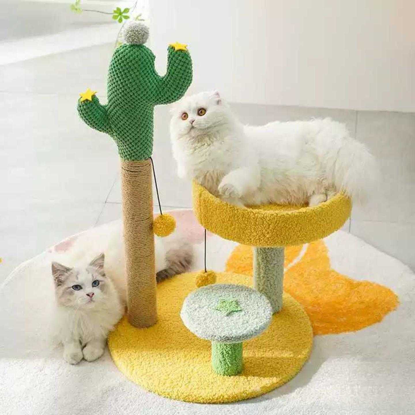 仙人掌猫爬架猫抓柱猫咪宠物
