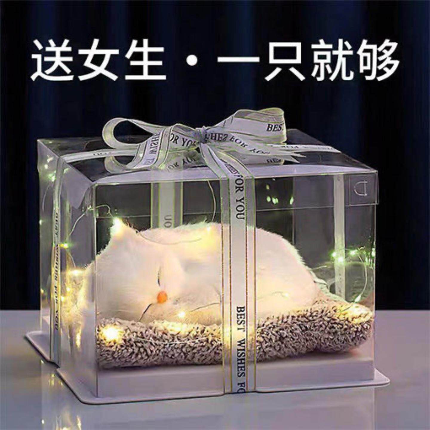 仿真小猫咪会叫竹炭活性去异味