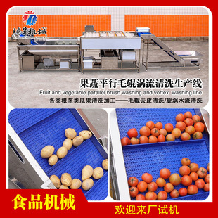 果蔬平行毛辊涡流清洗生产线 清洗设备 水果清洗生产线 毛刷
