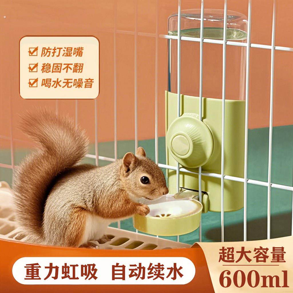 松鼠饮水器专用水壶喂水器自动喝水静音小宠用品食盆不漏水喂食器