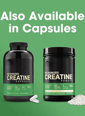 肌酸粉一水化合物Creatin