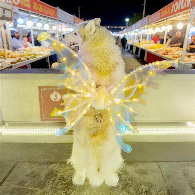 狗狗猫咪蝴蝶翅膀可发光可扇动小天使胸背带拍照氛围感遛猫狗配饰