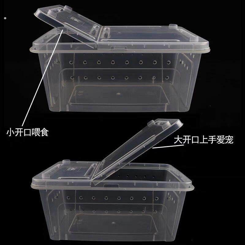 透明西班牙睡鼠饲养盒笼中号大号专用饲养笼送食盆小笼子仓鼠用品