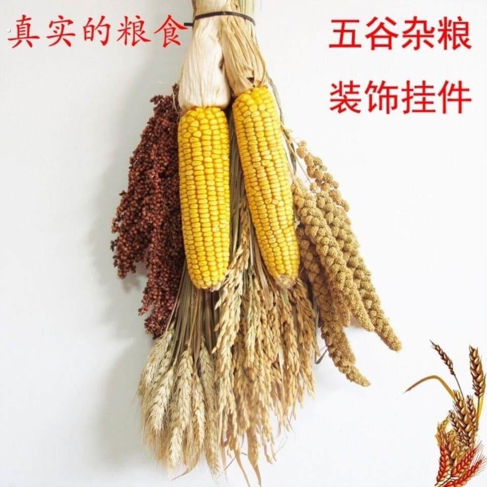 农家乐装饰玉米麦穗水稻高粱农家饭店五谷杂粮真实农作物挂饰摆件