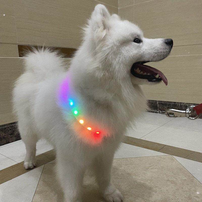 狗子发光项圈狗狗夜光充电夜晚夜间大中小型犬萤光宠物晚上遛狗灯